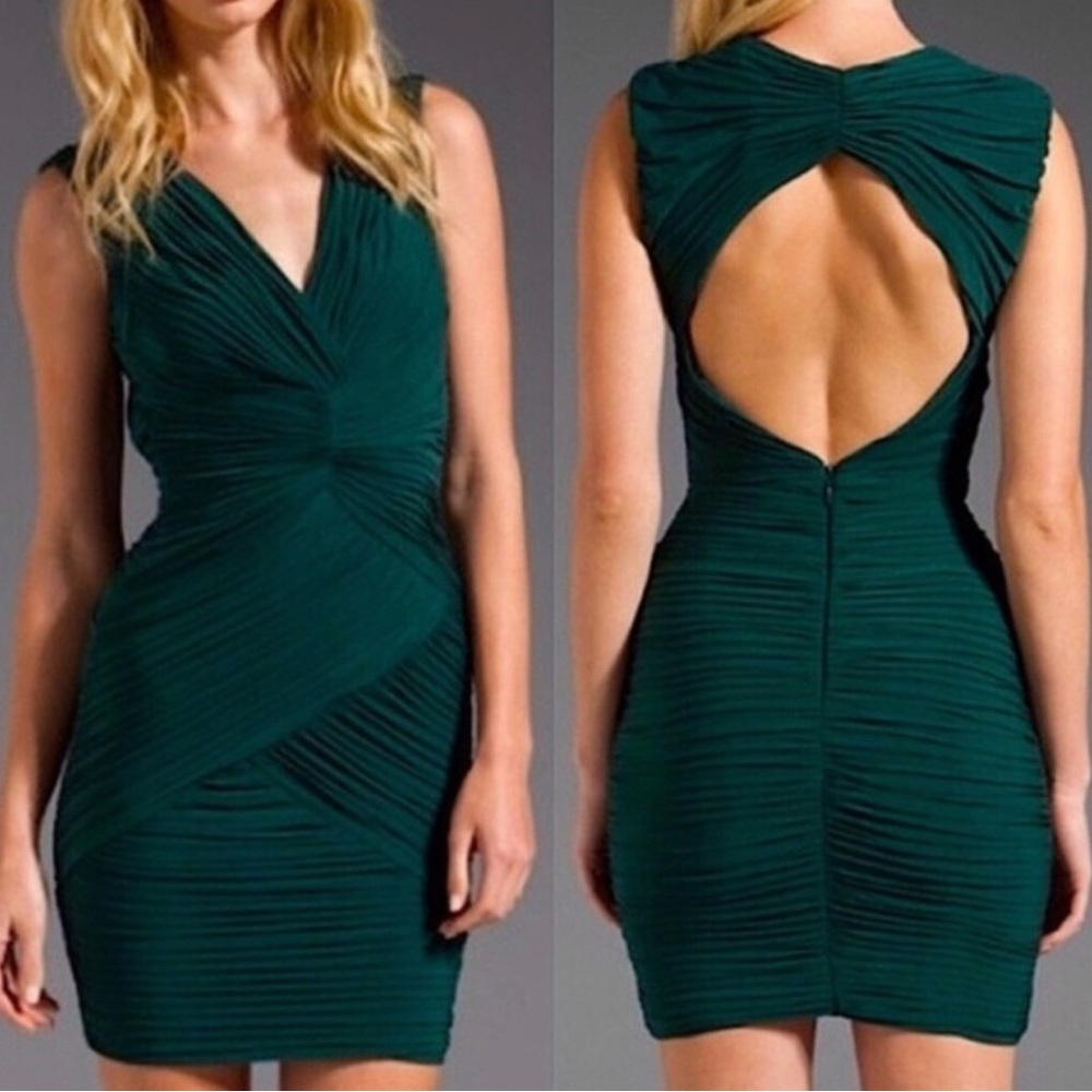 BCBG MaxAzria Edesa Dress in Fern Green Size Small